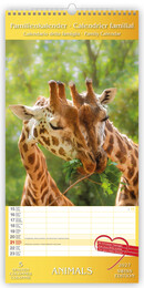 TH Familientimer Animals