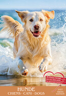 TH Kalender Hunde