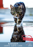 TH Kalender Katzen
